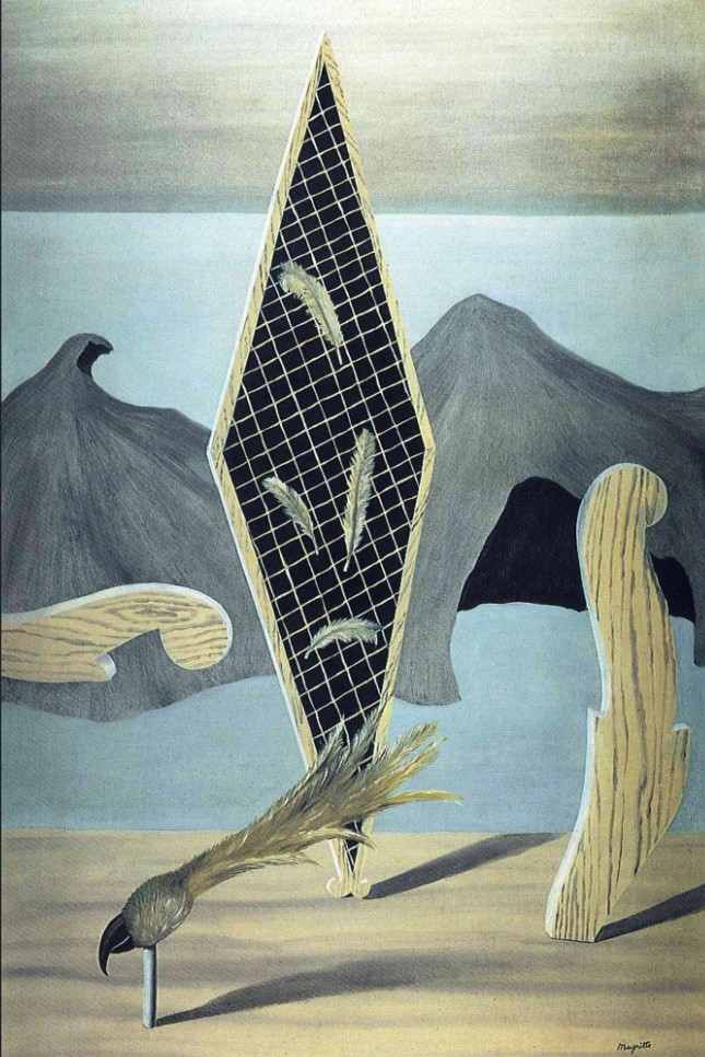 Wreackage of the Shadow